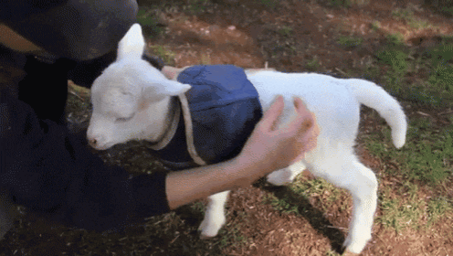 20220114_102537.gif