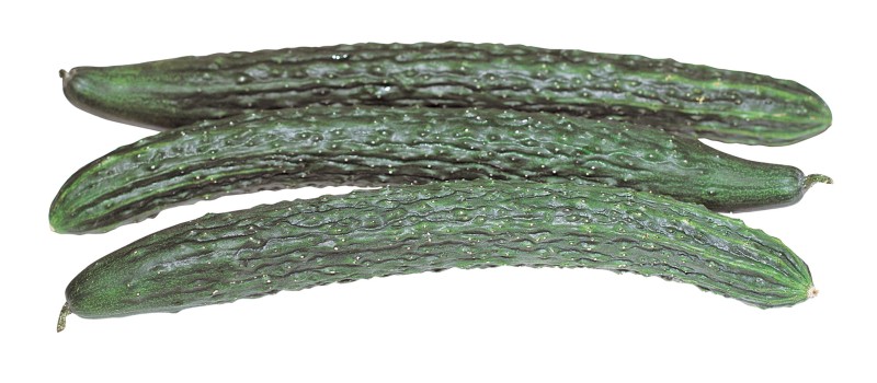 tip301t001219.jpg