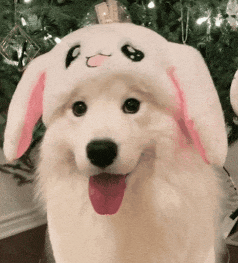 20220118_184938.gif