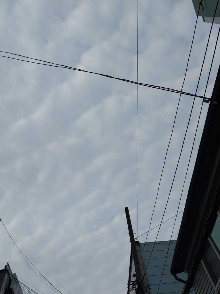 20230522_055300.jpg