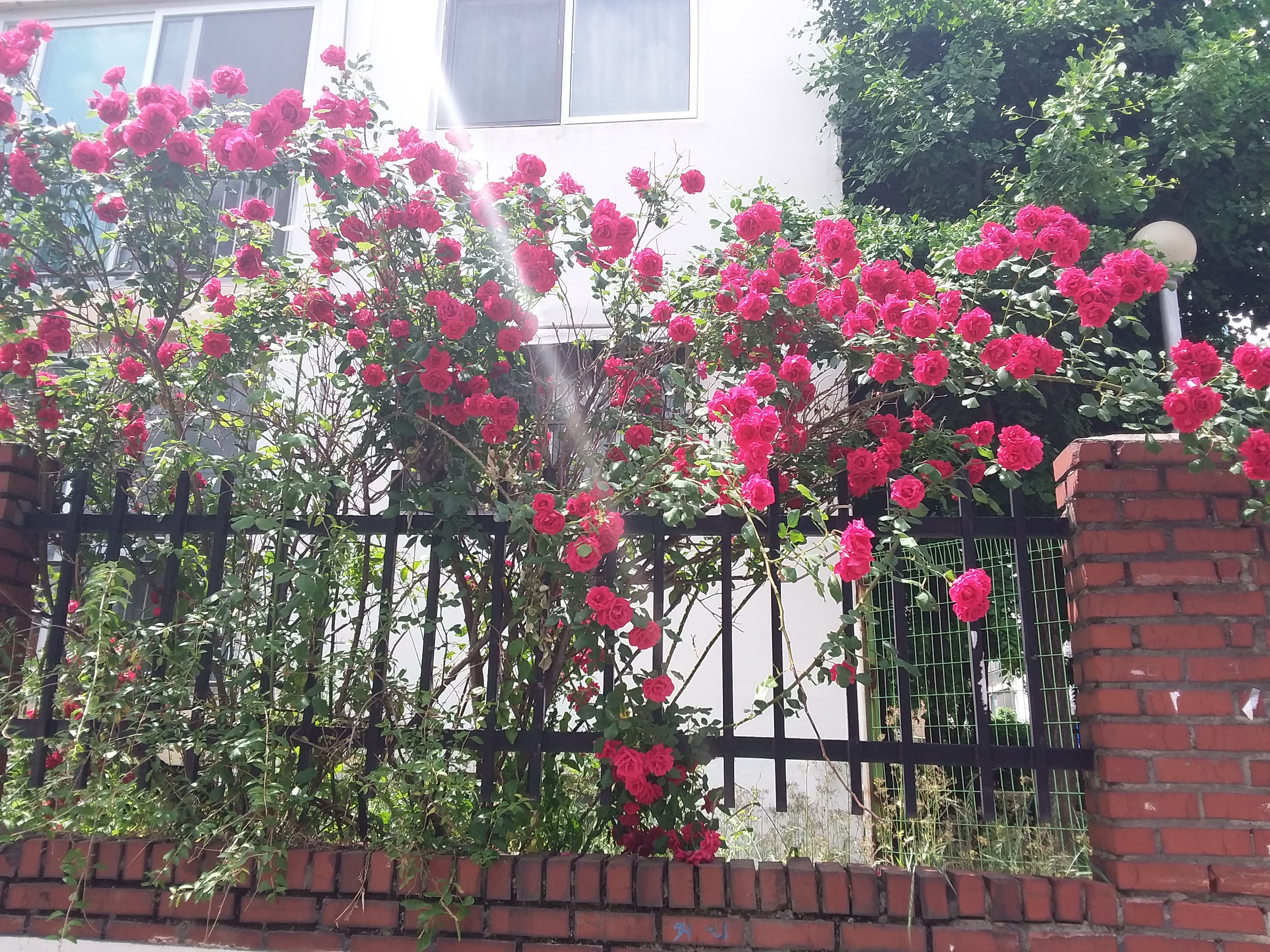 20230522_134410.jpg