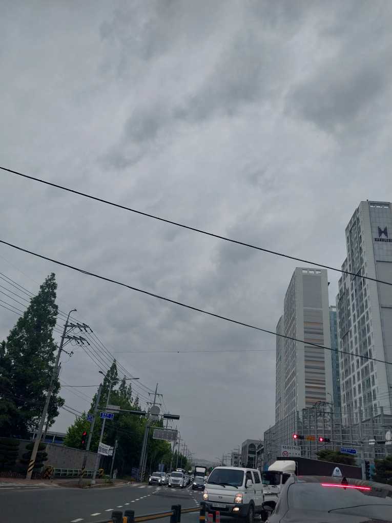 20230522_172909.jpg