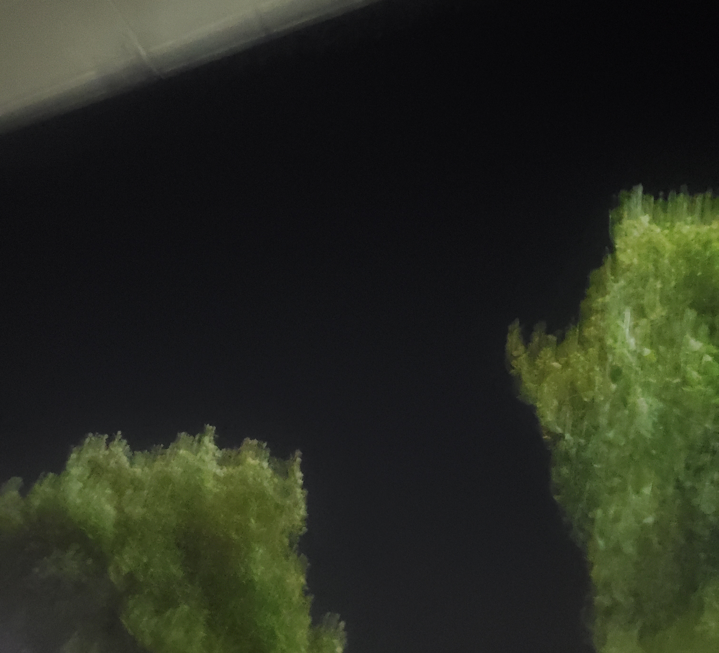 20230523_031205.jpg