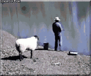 %eb%8b%a4%ec%9a%b4%eb%a1%9c%eb%93%9c.gif