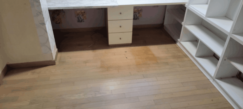 GIF_20241227_125957_693.gif