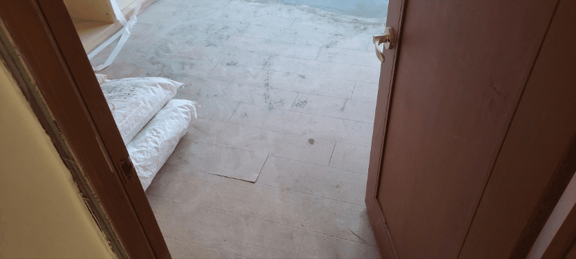 GIF_20250203_075600_407.gif