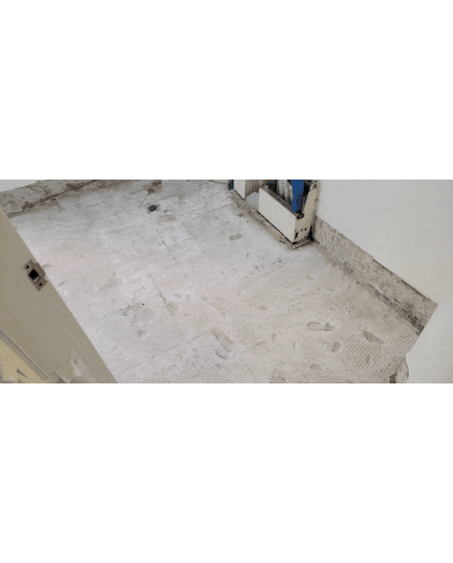 GIF_20250218_135245_057.gif