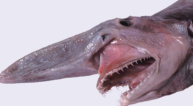 %eb%8f%84%ea%b9%a8%eb%b9%84%ec%83%81%ec%96%b4.PNG