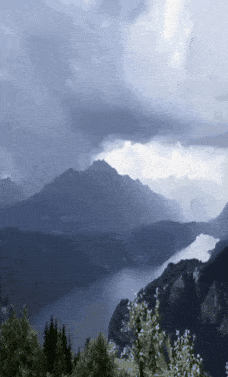 GIF_20250422_172849_227.gif